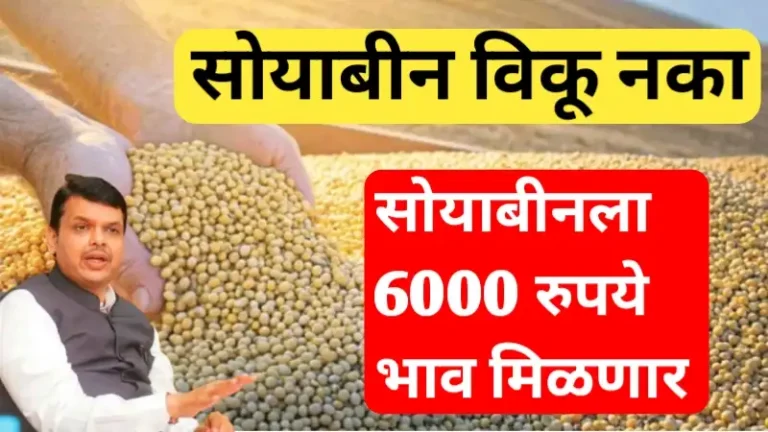 Soyabean price update