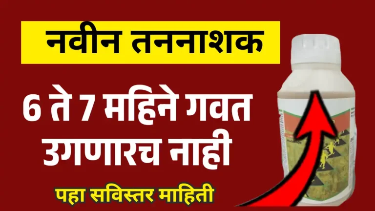 Bayer s new herbicide