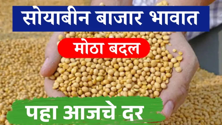 Soyabin rate today 
