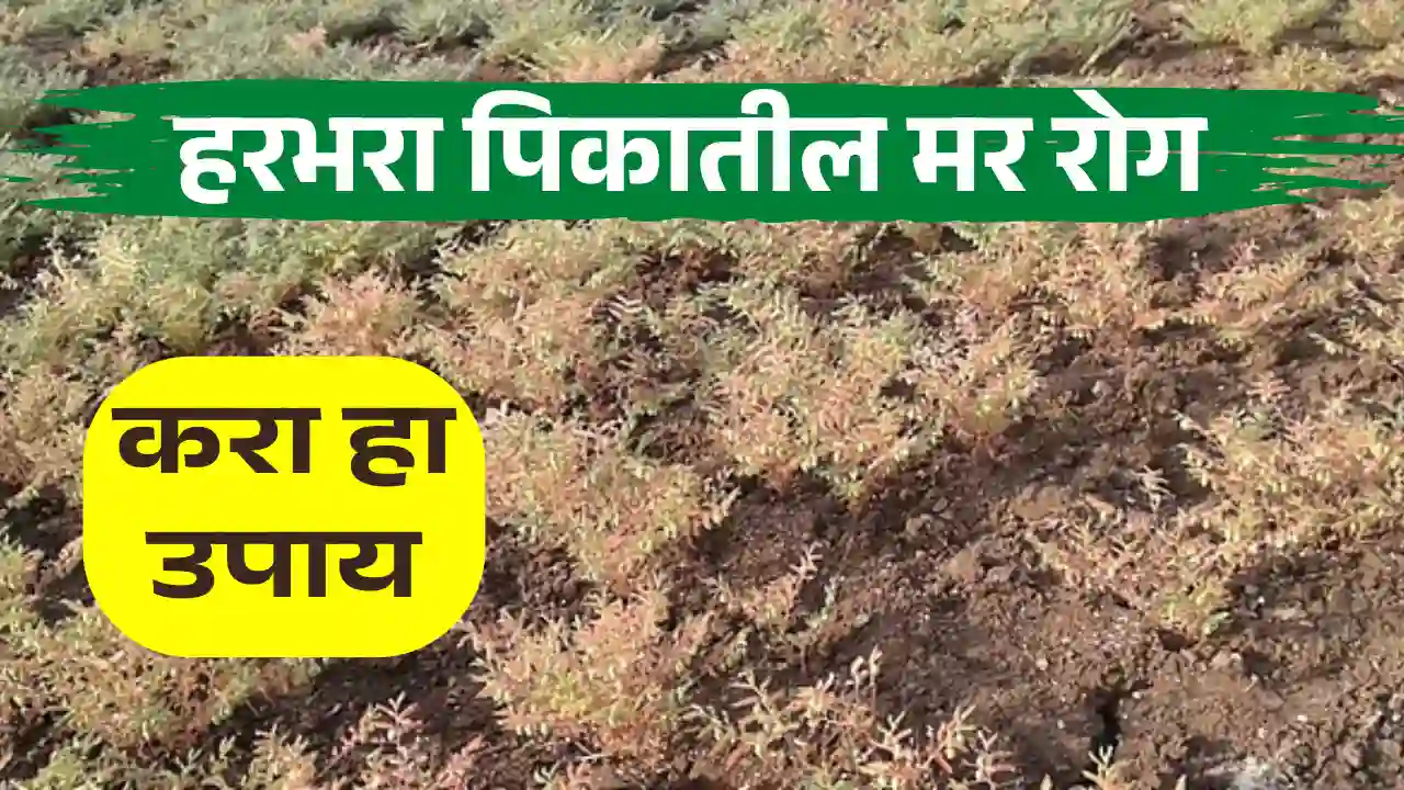 harabara mar rog niyatran