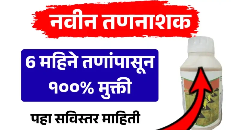 Bayer Alion plus herbicides