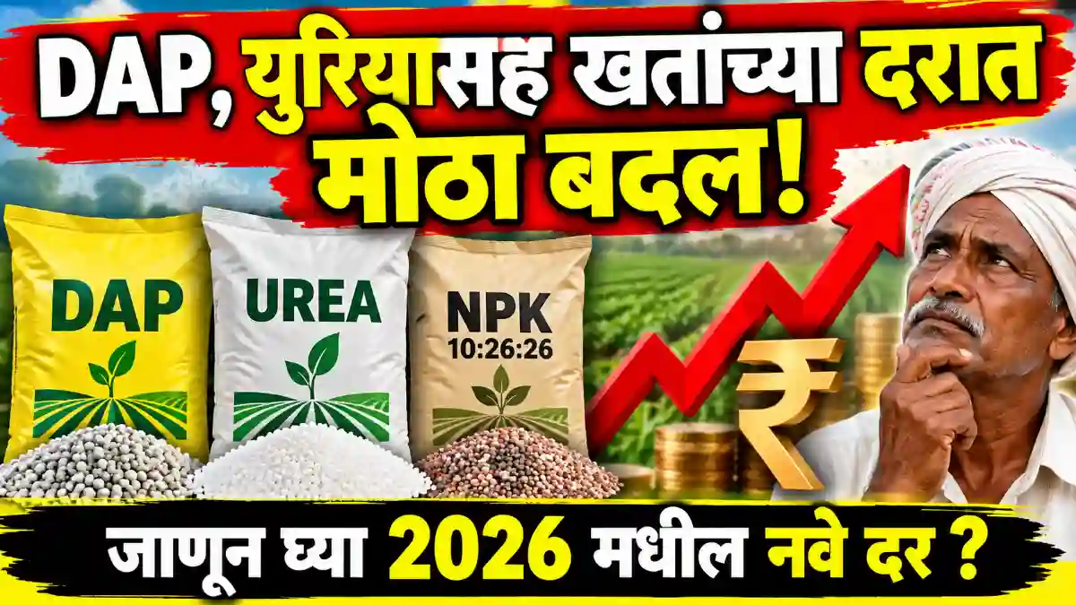 fertilizer prices